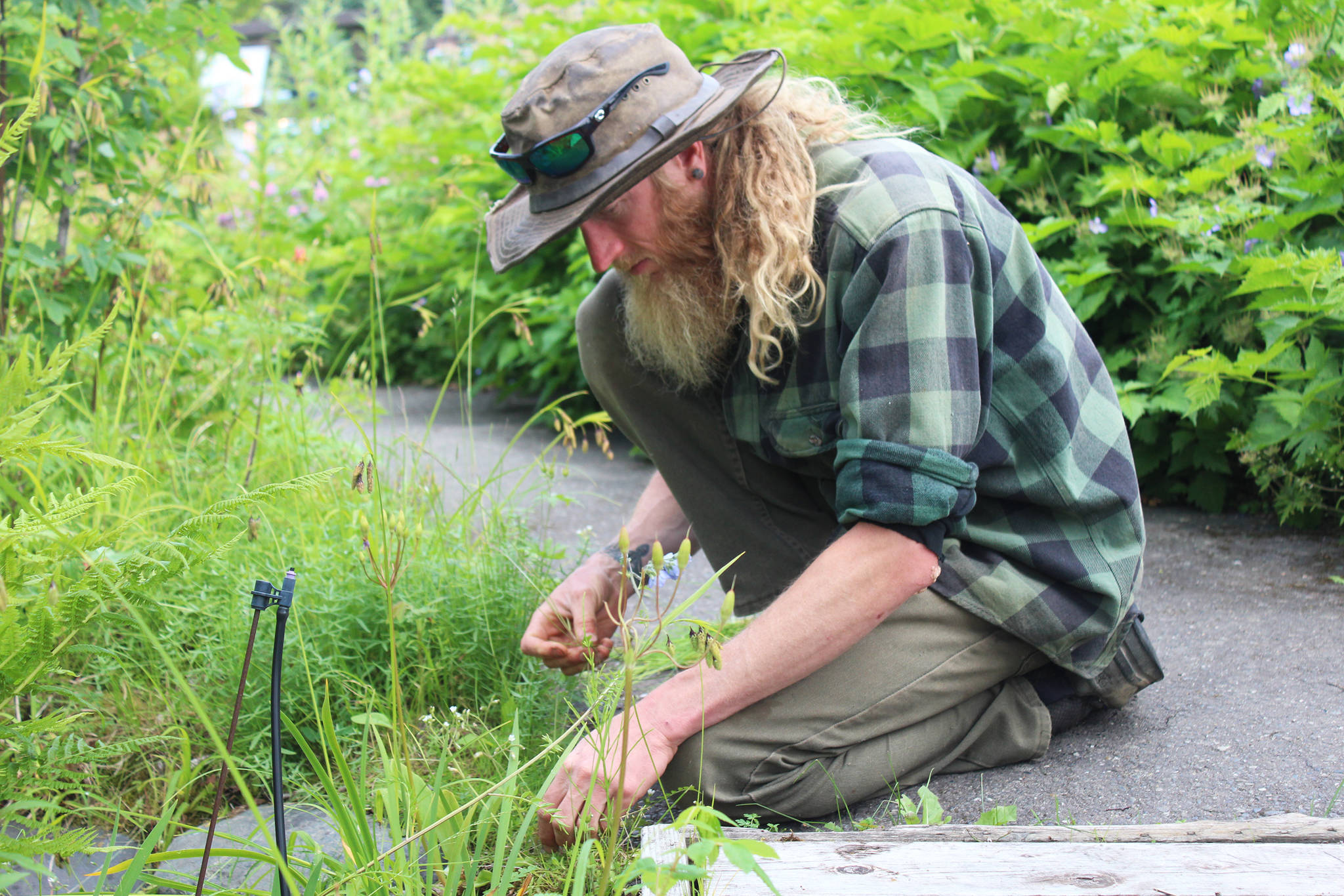 The Pratt’s new gardener wants you to rediscover the many uses of plants