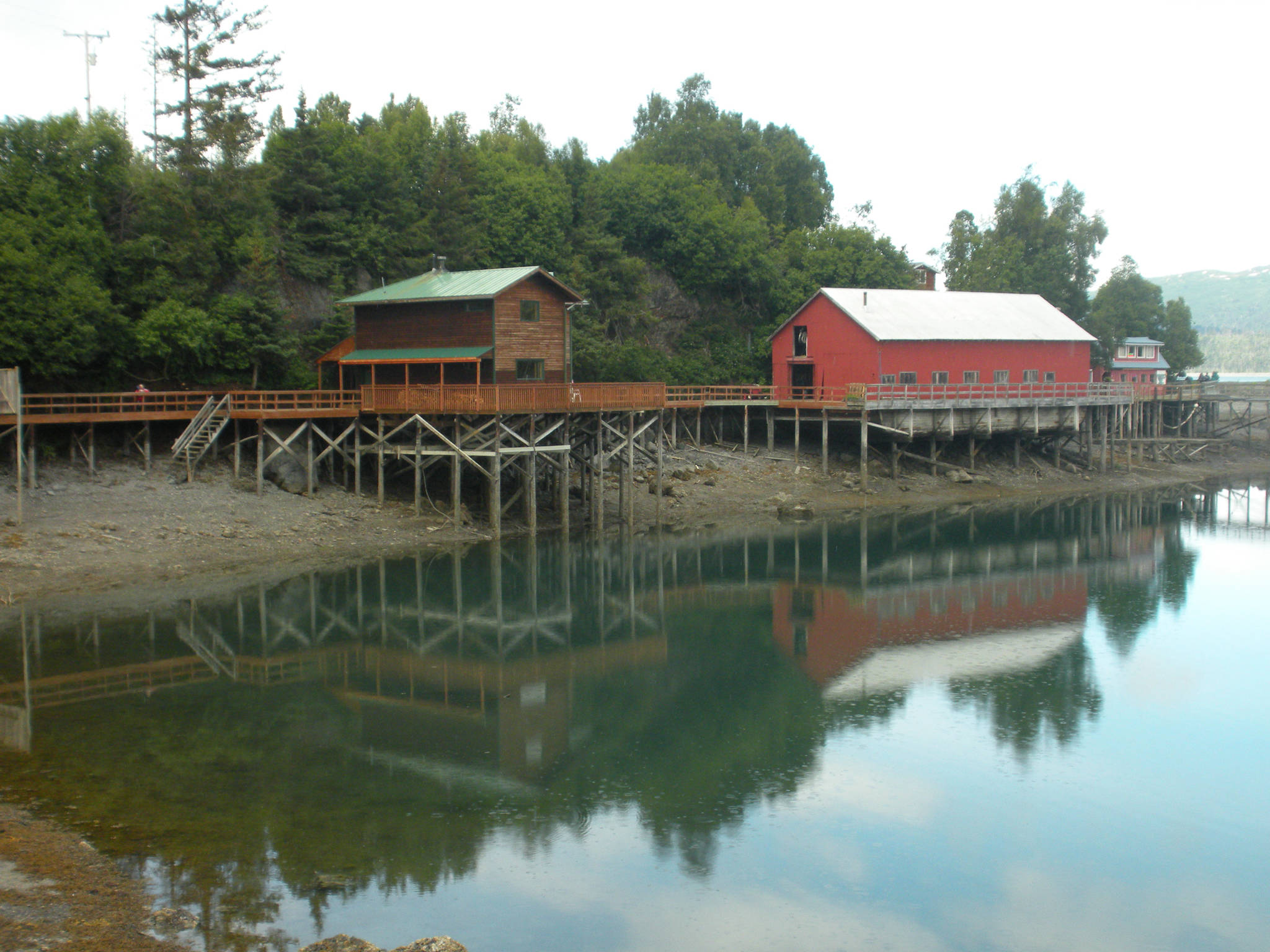 A boardwalk runs along Ismailof Island in Halibut Cove, Alaska, in this 2012 file photo. (Photo by Michael Armstrong/Homer News)