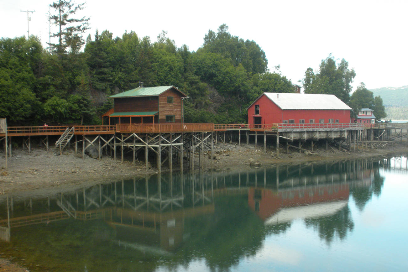 A boardwalk runs along Ismailof Island in Halibut Cove, Alaska, in this 2012 file photo. (Photo by Michael Armstrong/Homer News)