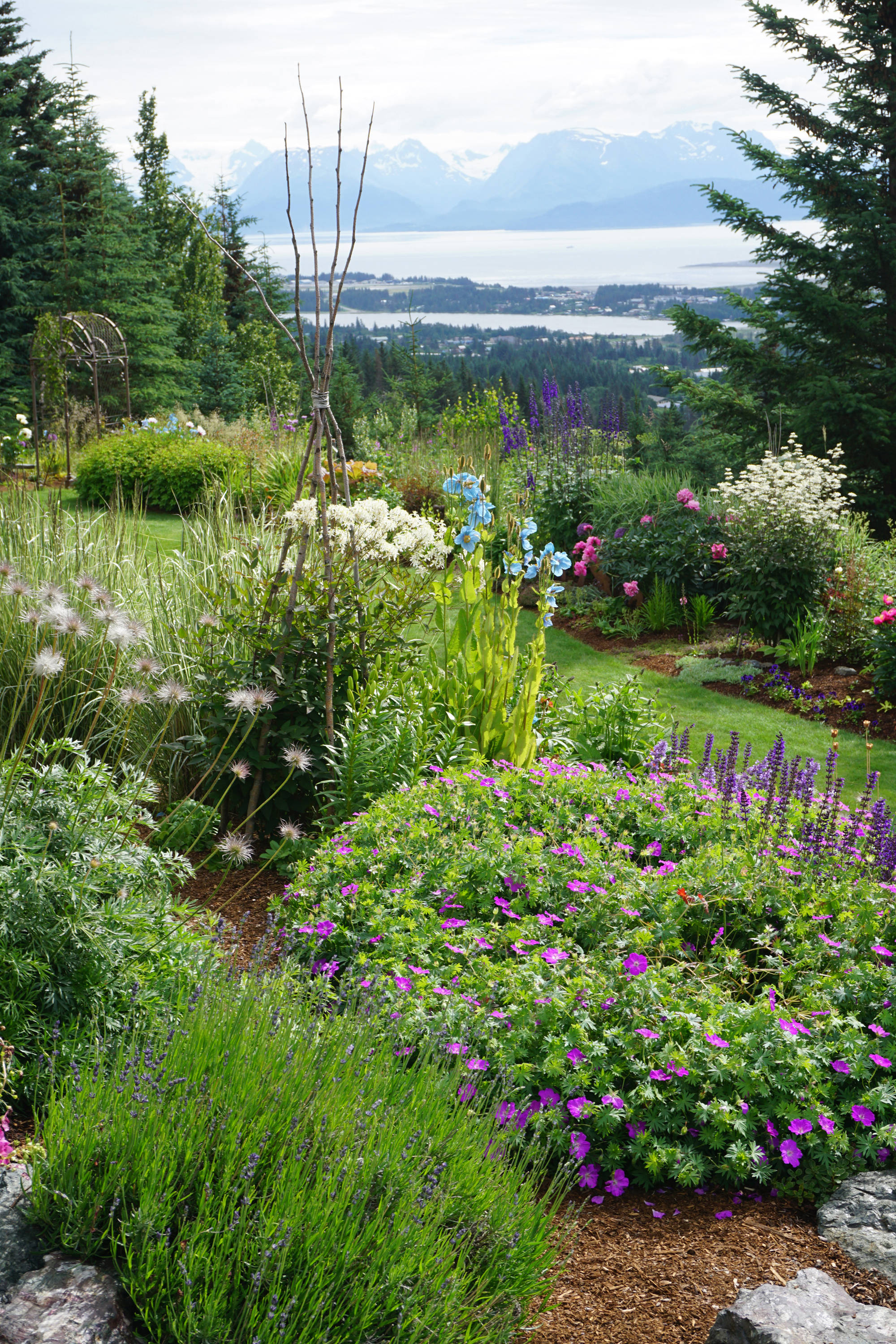 Flower beds in terraces frame a view of the Homer Spit at Joan Splinter’s garden on Reber Road off West Hill Road on July 30, 2017 in Homer, Alaska. Her garden was featured in the Homer Garden Club’s 2017 Summer Garden Tours. (Photo by Michael Armstrong/Homer News)