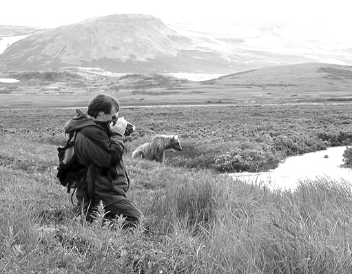 Gary Porter, owner of Bald Mountain Air Service, films brown bears in Katmai National Park during one of Bald Mountain’s bear-viewing trips. The company has earned the Medallion Shield for safety.