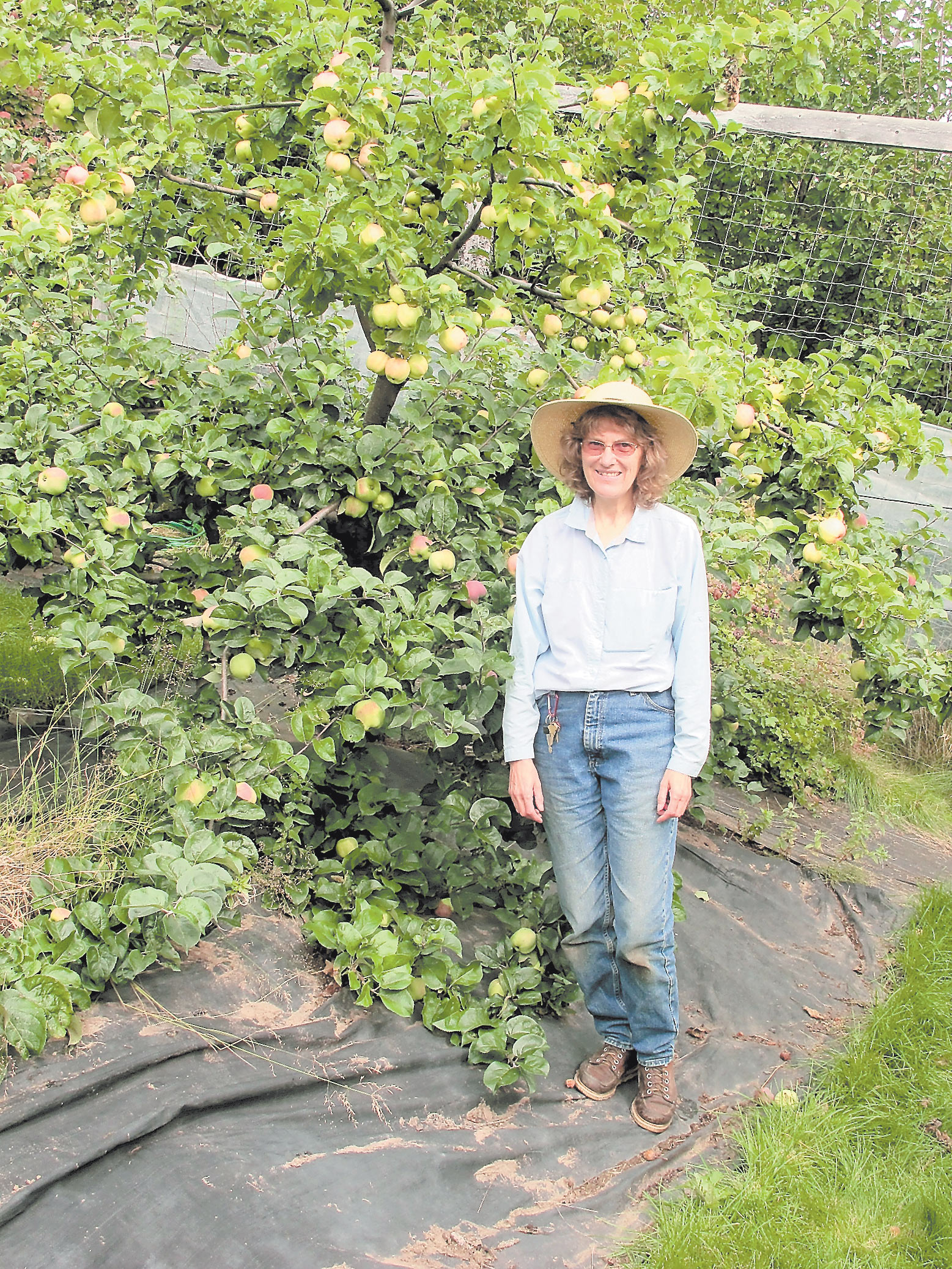 Judith James tends dozens of fruit tree spread among three orchards off East End Road.-Photo by Toni Ross