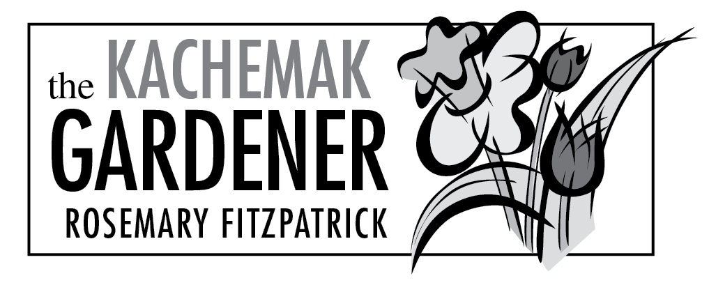 Plenty of ways to make the most of March