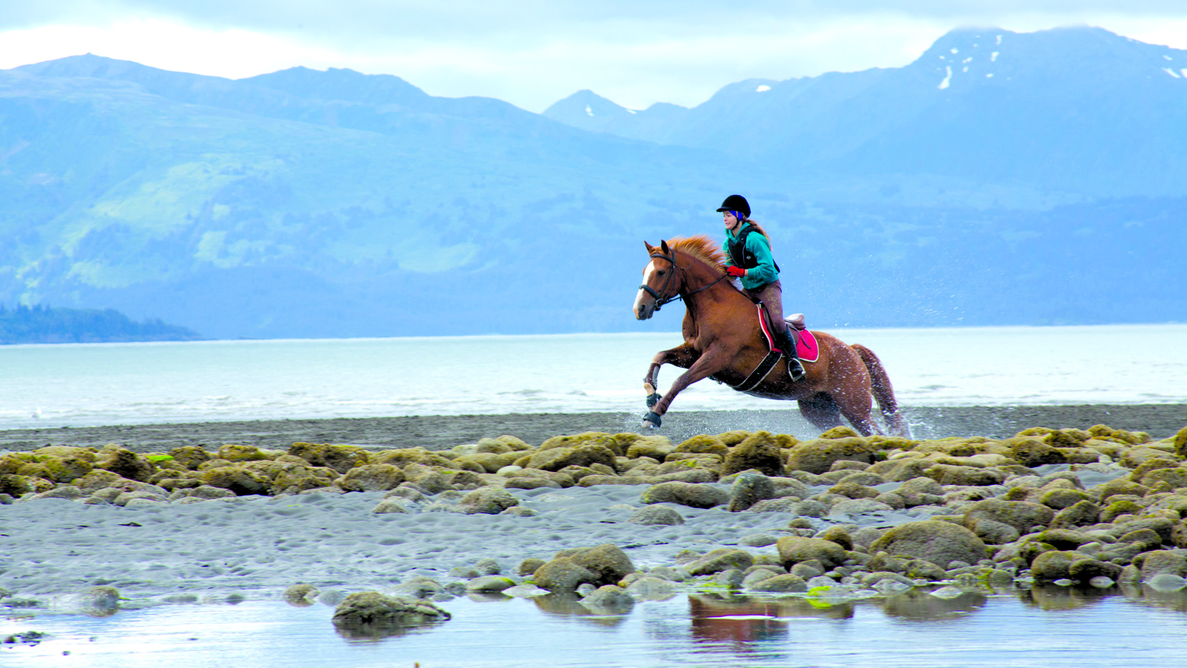 Aurora Shadle, 15, rides a tall Holsteiner named Charlie over a jump-Photo by Aaron Carpenter