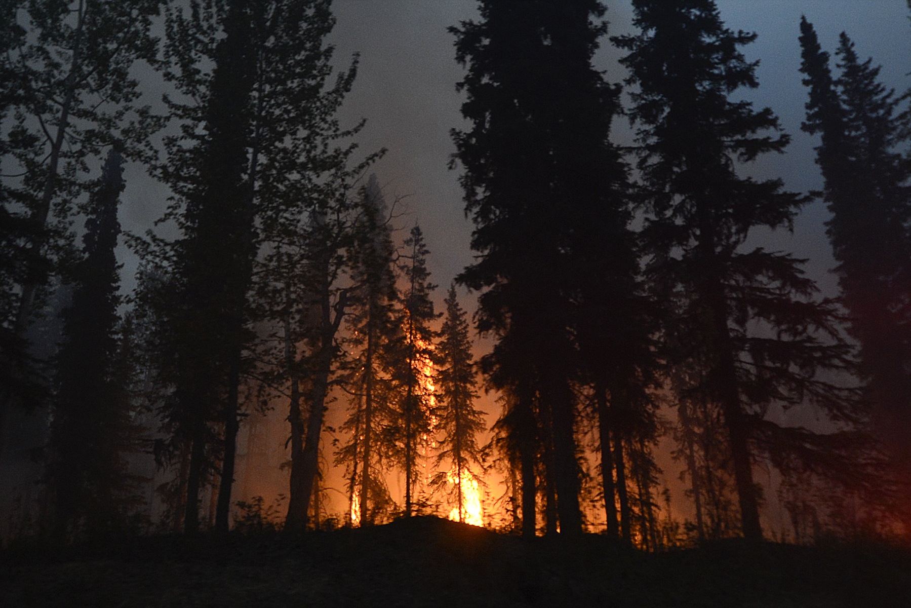 Crews backburned portions of the Kenai National Wildlife Refuge Wednesday May 21, in order to keep the Funny River fire from burning across Funny River Road in Funny River, Alaska. -Photo by Rashah McChesney, Morris News Service
