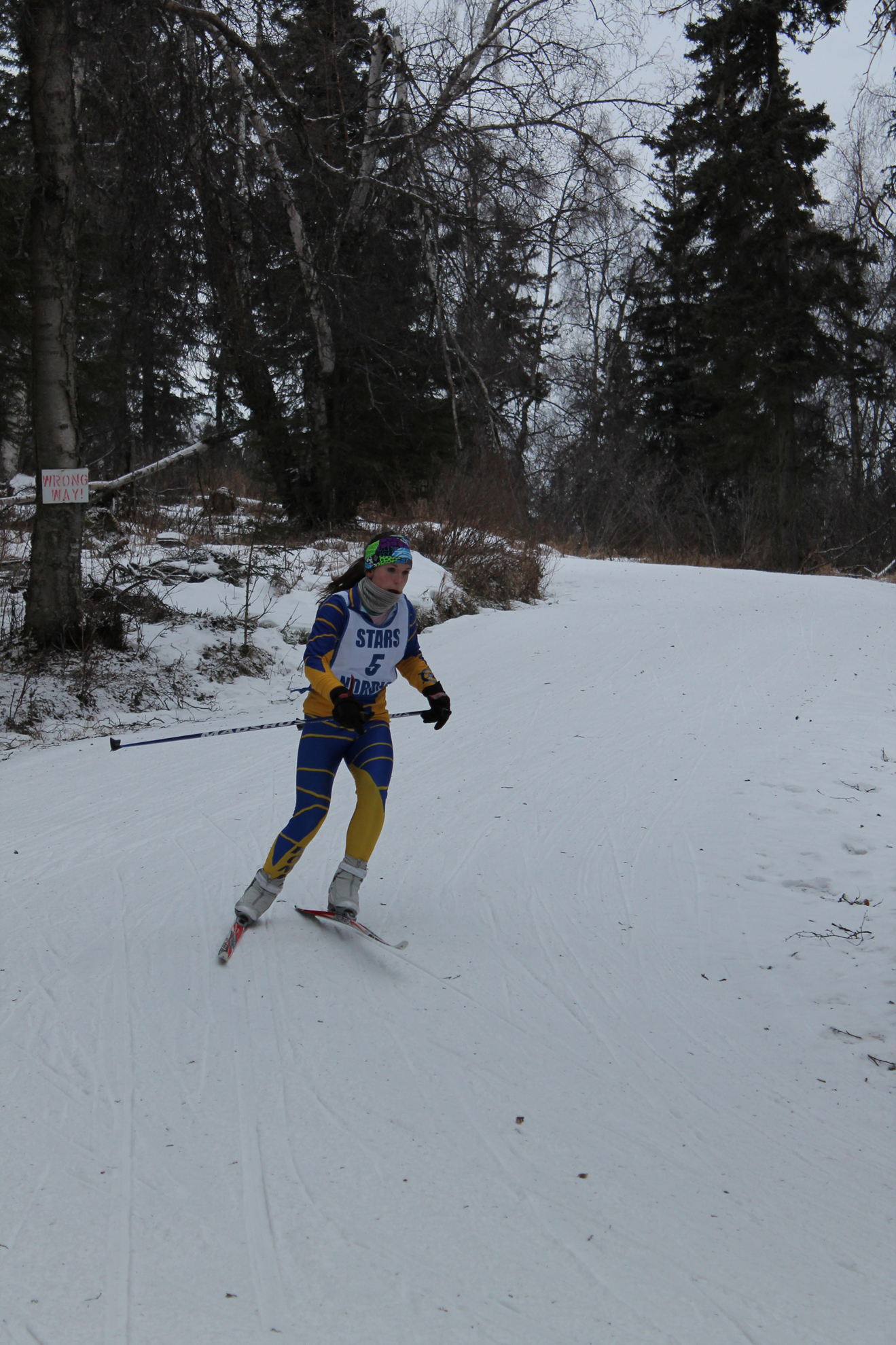 Homer’s Aspen Daigle turns onto the Beaver Loop midway through the girls five-kilometer freestyle Friday at the Region III Nordic Ski Championships at Tsalteshi Trails.-Photo by Jeff Helminiak, Peninsula Clarion