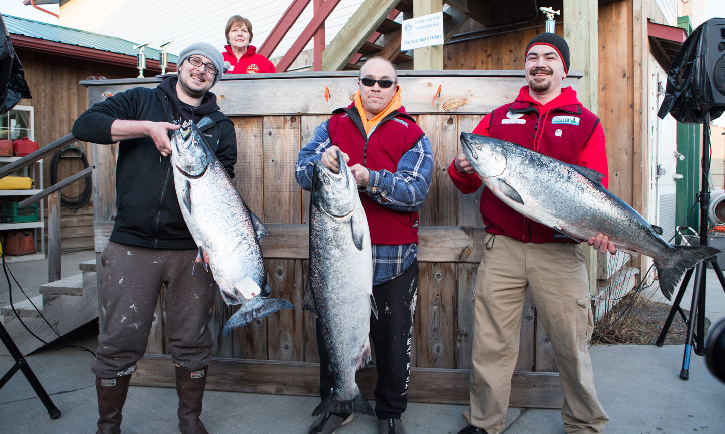 From left to right, Chelsa Johnson of Homer, Mike Olsen of Kodiak and Raymond Tepp of Kenai hold up their winning king salmon. Olsen won first place with a prize of $27,762 for a 30.40-pound fish, Johnson won second place with a prize of $18,508 for a 28.60-pound fish and Tepp won third place with a prize of $14,542 for a 26.50-pound fish. Tepp won first place in 2014, and wears the NOMAR champion vest. He presented Olsen with this year’s vest. A record 1,321 anglers fished. For complete story, go to Homer News.com.-Photo by Aaron Carpenter, Homer News
