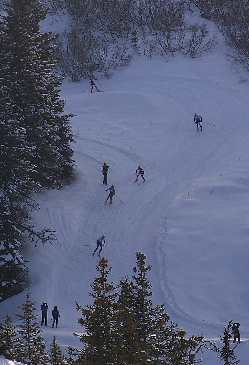 Cross country skiers make their way down a steep seciton of the Lookout Mointain Trials during the 2013 Boroughs competition.-Photo by McKibben Jackinsky, Homer News