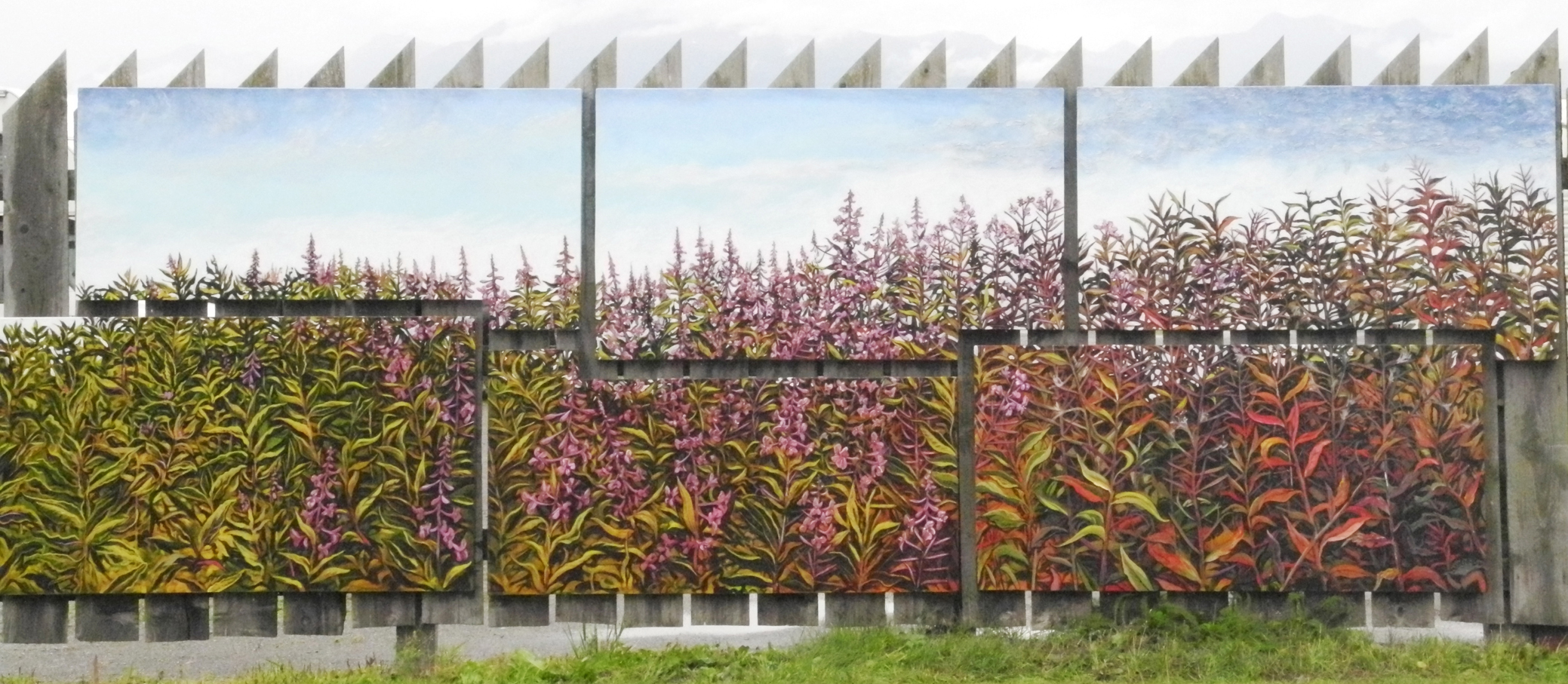 Dan Coe’s six-panel fireweed mural shows the progression of fireweed from flower to fluff over the season.-Photo by Michael Armstrong, Homer News