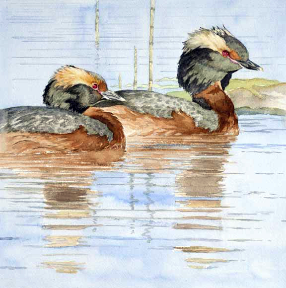 Kaufman’s watercolor paintings often feature birds,