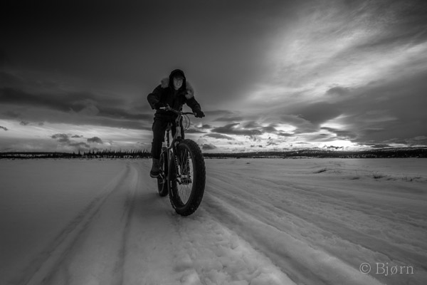 Kim McNett rides her fat bike on a Homer area trail.-Photo by Bjørn Olson