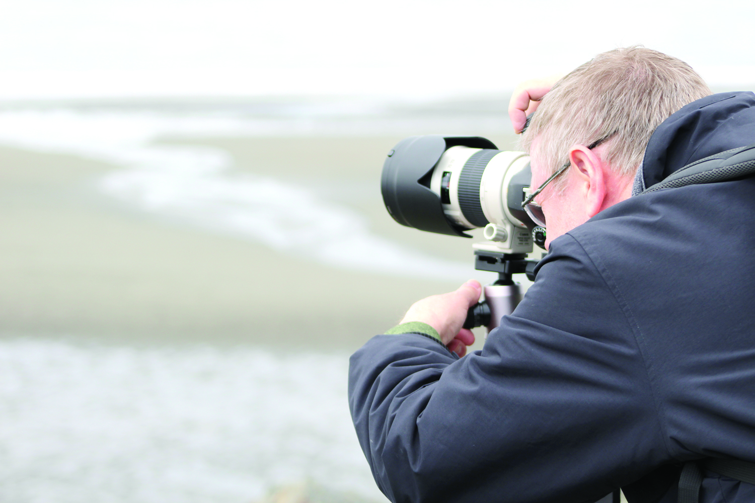Visitors of the non-feathered variety are also flocking to Homer for the town’s other attractions. Brad Warner, a doctor from St. Louis, Missouri, takes a photo of the Spit Beach at low tide on May 9. Warner came to Homer to fish with friends.-Photo by Anna Frost, Homer News