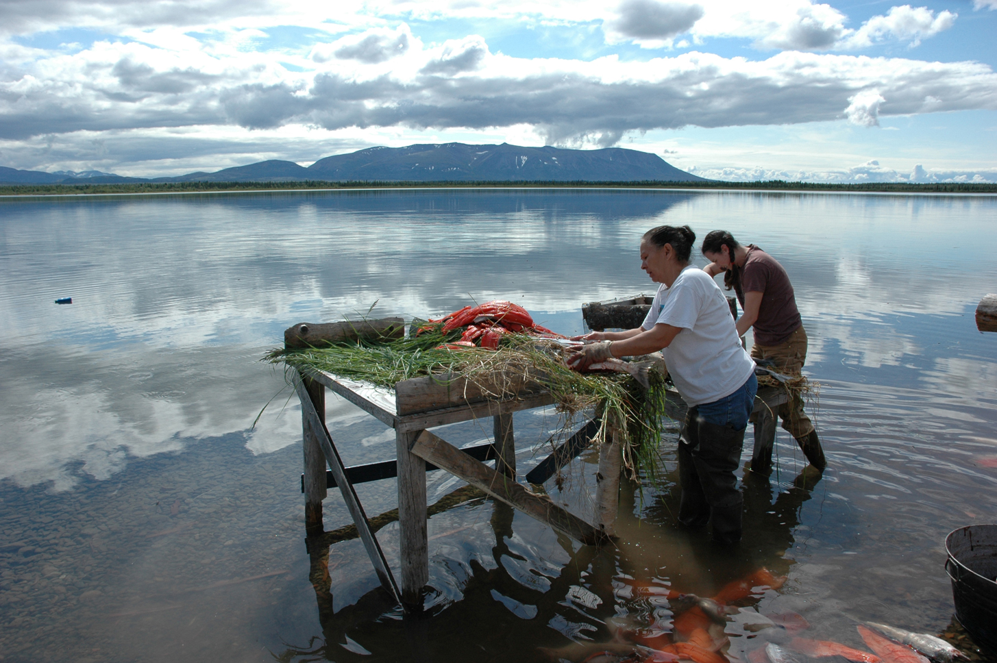 Above, Nancy Delkittie, left, and Jessica Hay process salmon at a fish camp. Top, a map shows Dena’ina country.-Photo by Robin La Vine, Alaska Department of Fish and Game
