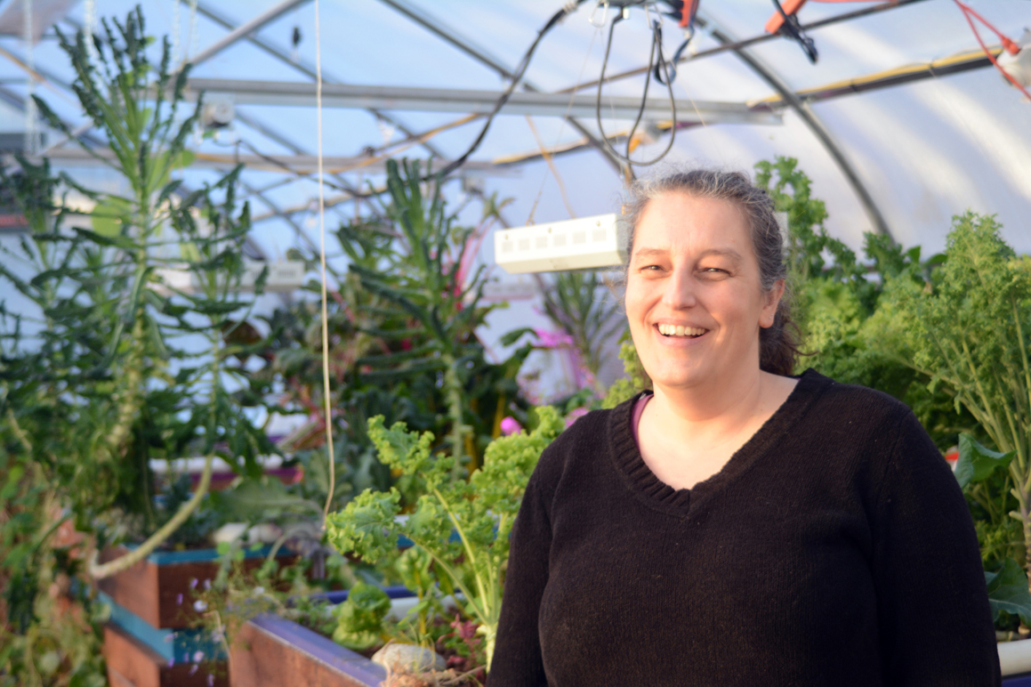 Sonja Martin Young of Alaska Aquaponics stands before beds of vegetables at her greenhouse.-Photo by Michael Armstrong, Homer News