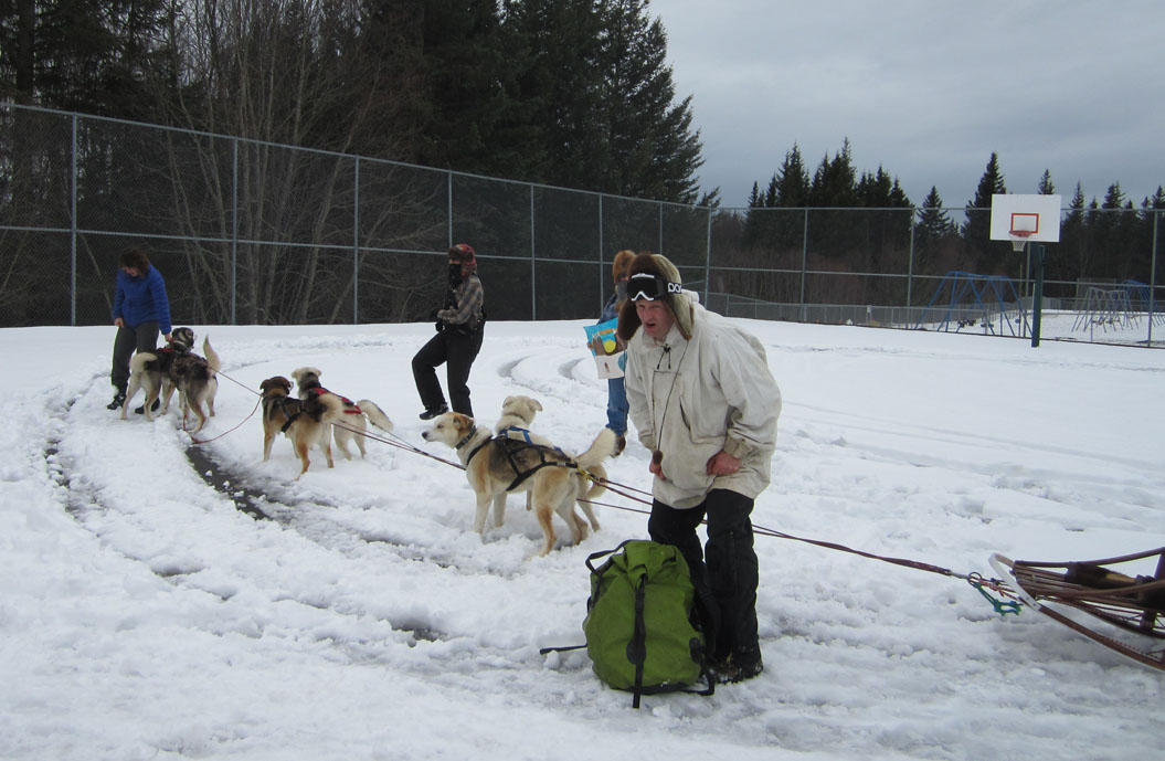 Paul Banks Principal Eric Pederson and his team of dogs arrive at school with a load of books.-Photo by Sally Burns