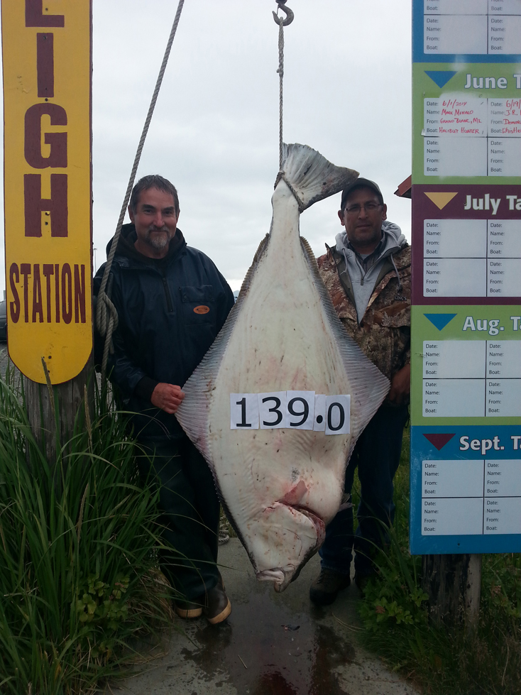 Mike Leno, left, moves into third place in the Homer Jackpot Halibut Derby with a 139.0-pounder caught while fishing with Capt. Rob Hyslip, right, of Big Bear Halibut Charters.-Photo provided