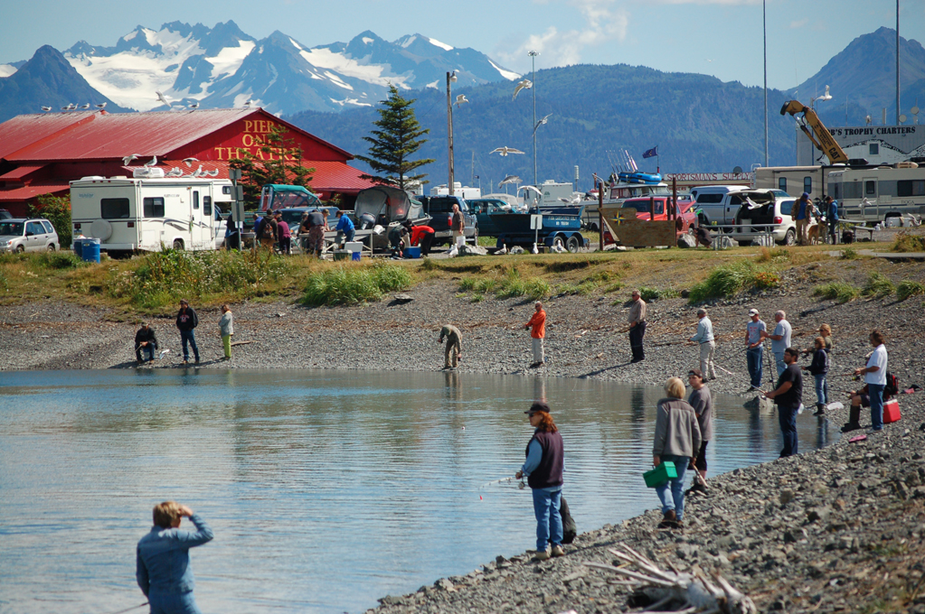Anglers rim the Nick Dudiak Fishing Lagoon this week in hopes of catching a silver salmon. -Photo by Michael Armstrong, Homer News