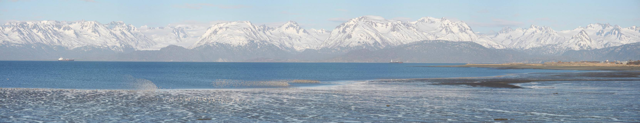 A panoramic view of Kachemak Bay during the shorebird migration in May shows the northwest side of the bay. The National Oceanic and Atmospheric Administration recently designated the bay as a Habitat Focus Area, which could mean more federal funding.-Photo by Michael Armstrong, Homer News