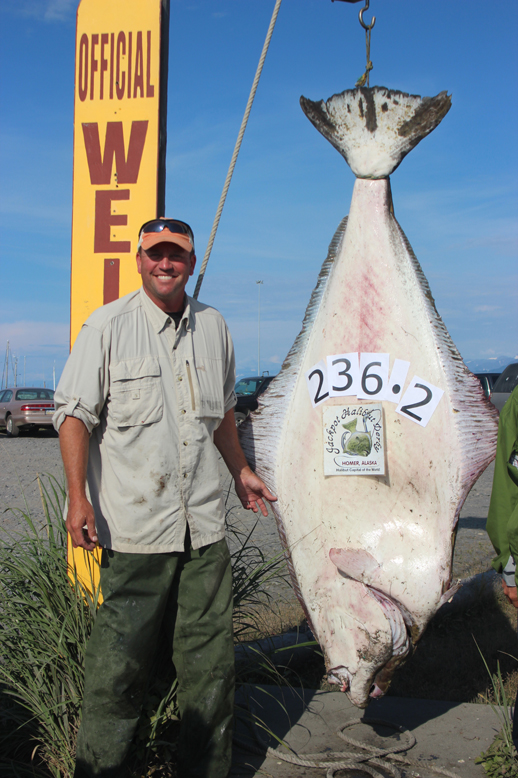 Gene Jones  moves into first place with a 236.20 pound halibut.-Photo Provided