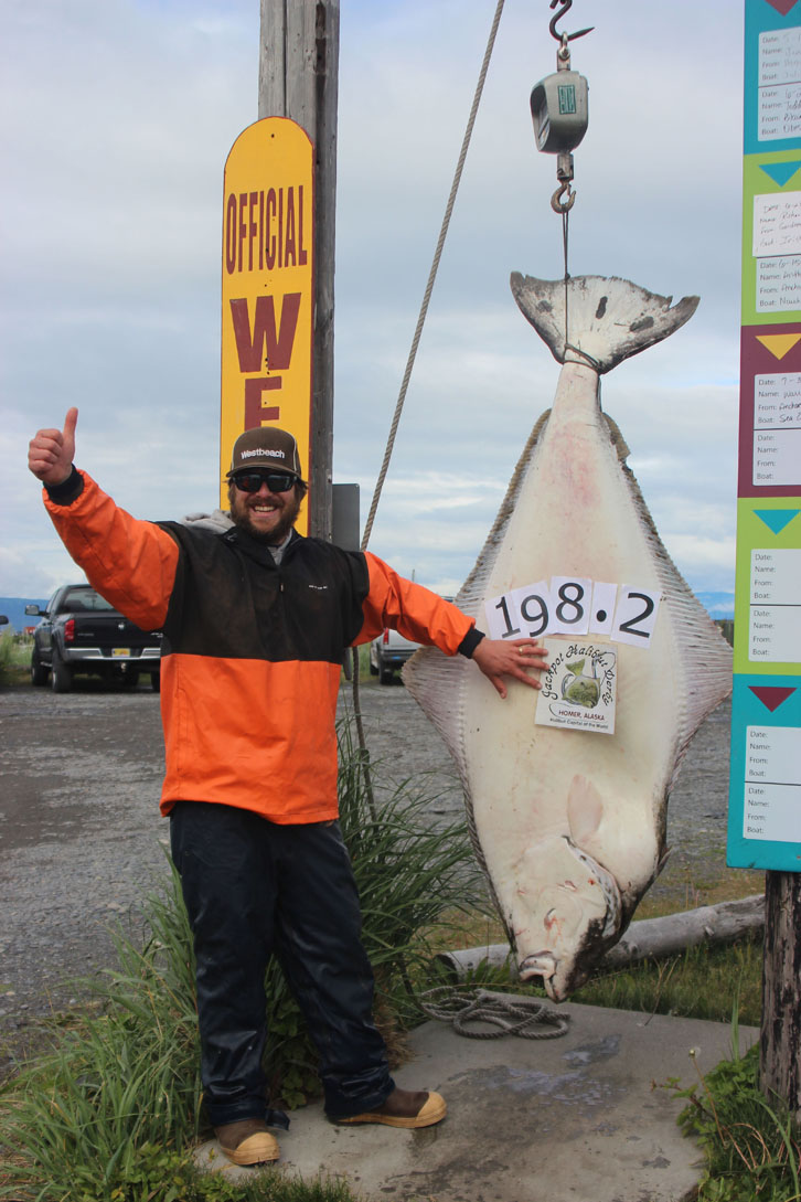 James Jell of Moscow, Idaho, moves into the lead of this year’s Homer Jackpot Halibut Derby with a 198.2-pound halibut he landed July 7 while fishing with Capt. Chad Kiesel of Silver Fox Charters aboard the Arctic Envy.-Photo provided