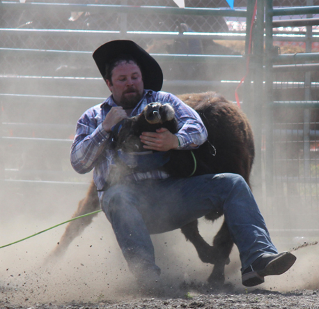 Justin Rainwater attempts to wrestle an unwilling steer to the ground.-Photo by McKibben Jackinsky, Homer News