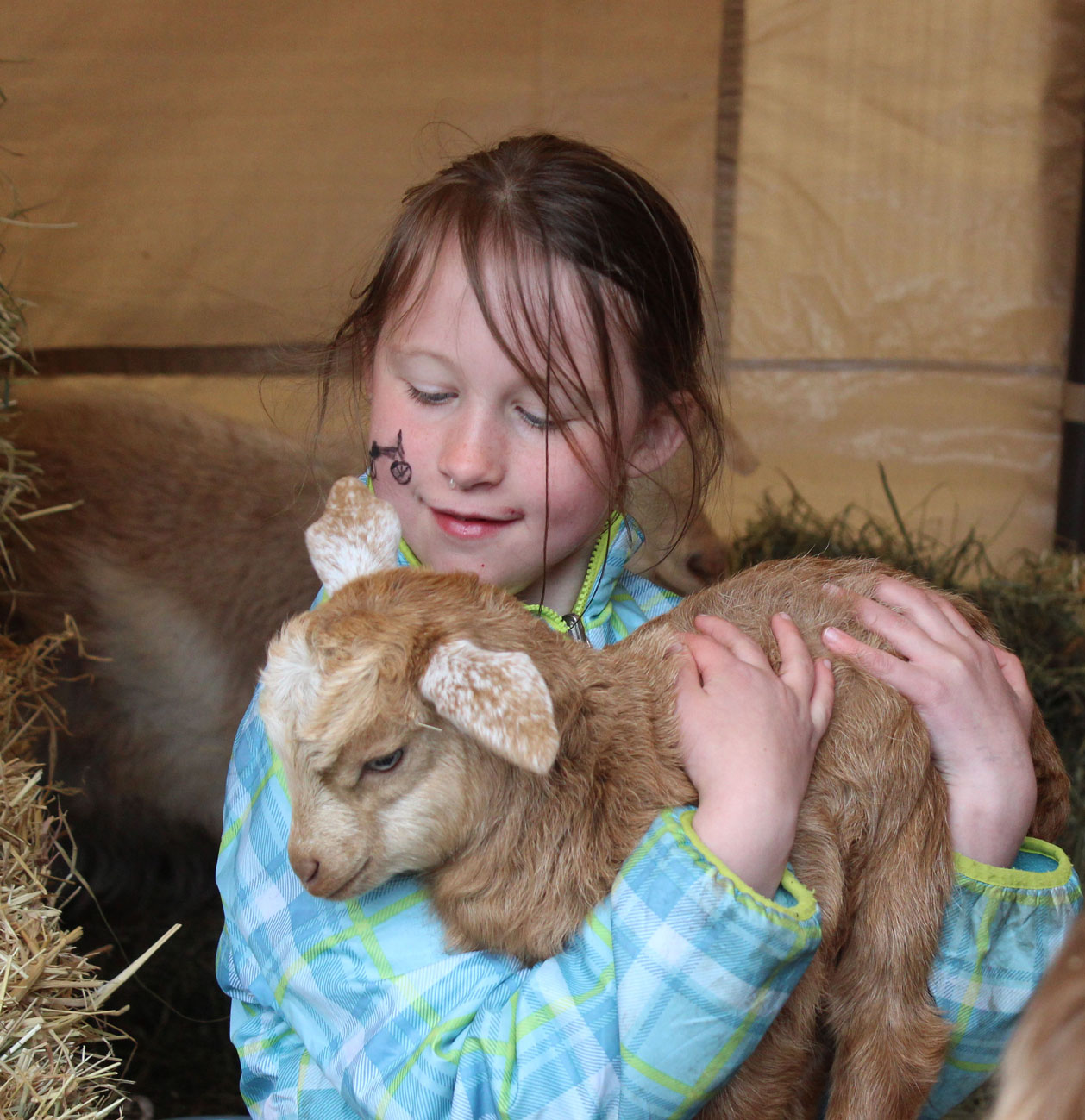 Thea Person snuggles with a baby goat in Alaska Islands and Ocean Visitor Center’s outdoor amphitheater during Saturday’s Earth Day celebration.-Photo by McKibben Jackinsky, Homer News