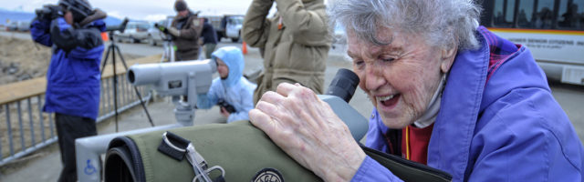 Daisy Lee Bitter looks at shorebirds at Mud Bay on the Homer Spit during the 2013 Kachemak Bay Shorebird Festival.-Jim Lavrakas