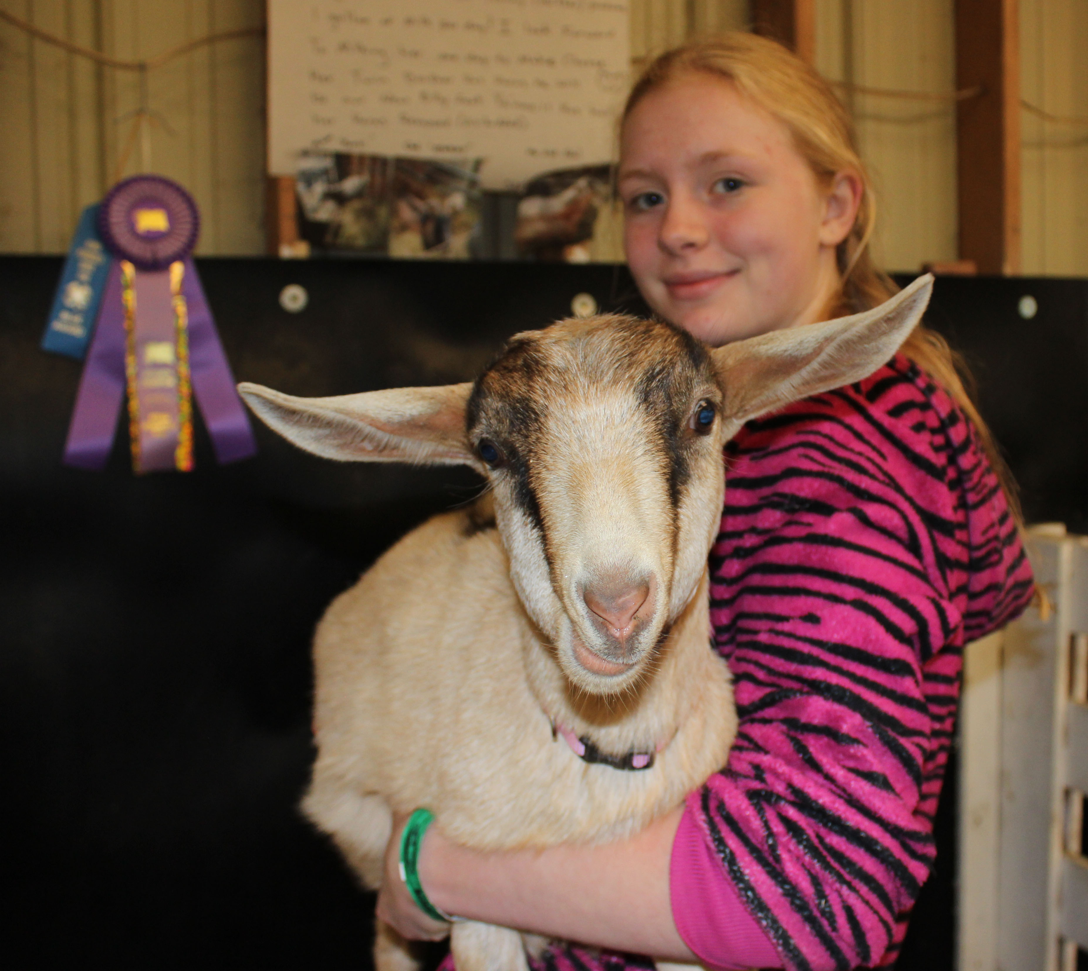 Samantha Martin of Homer not only won a blue ribbon but also a division champion ribbon ffor her goat, Yanell. She also won ribbons for her bead and art work.-Photo by McKibben Jackinsky; Homer News