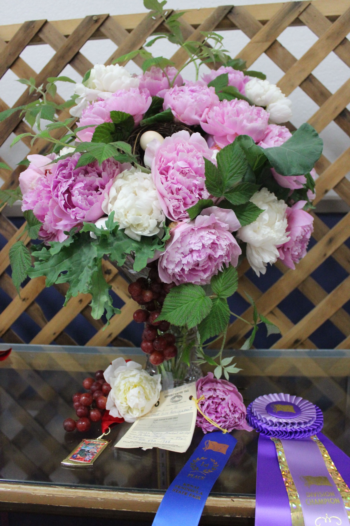 Peonies by Alaska Peony Market Co-Op claim a first-place blue ribbon and a division-champion purple ribbon at the Kenai Peninsula Fair.-Photo by McKibben Jackinsky, Homer News