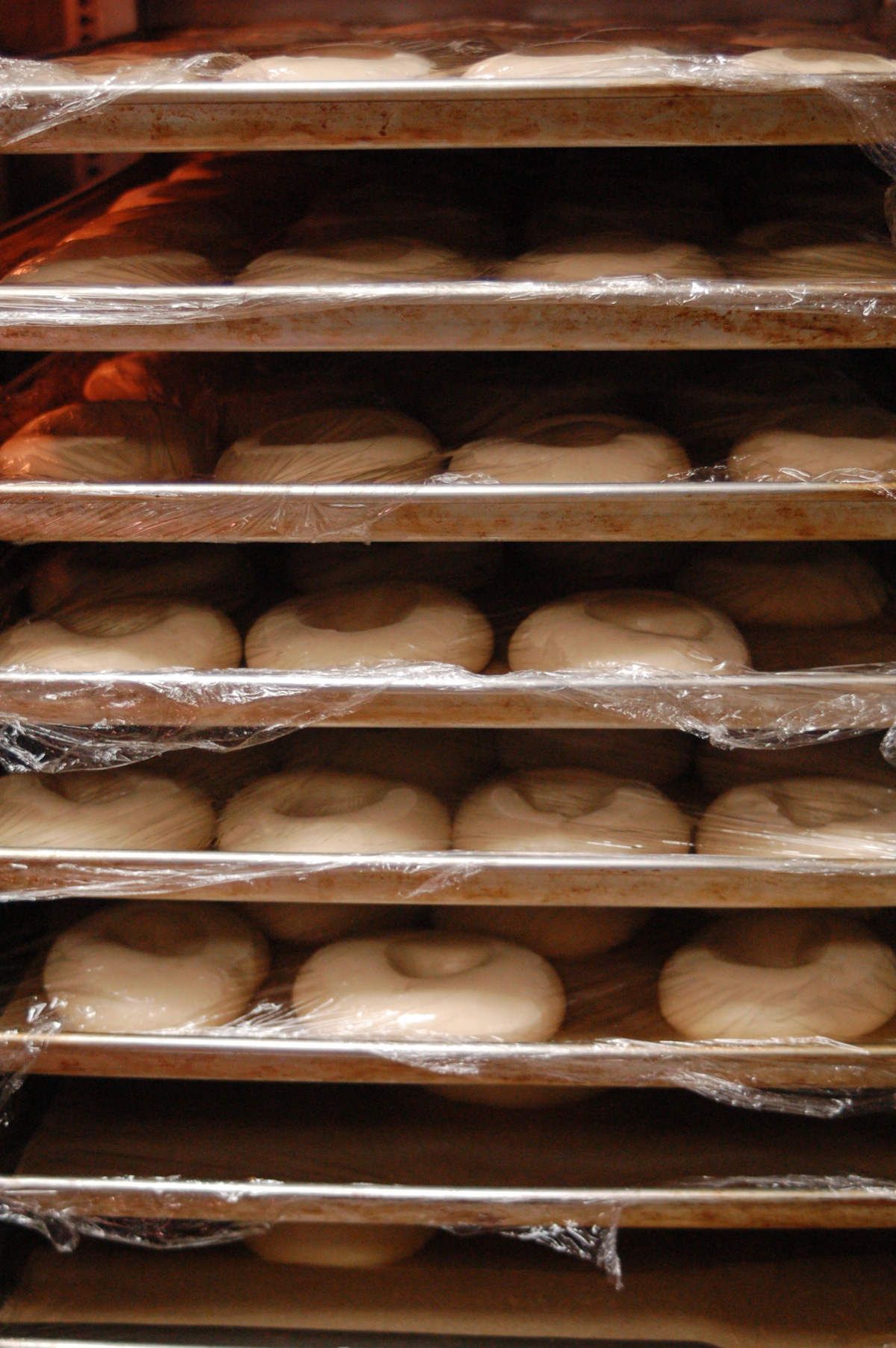 Racks of bagels sit in the refrigerator during the retarding process. After cooling overnight, the bagels will be baked the next day. “That’s how the bagel becomes a chewy thing. That’s what differentiates it from dough with a hole in it,” said Mikela Aramburu, co-owner of The Bagel Shop.