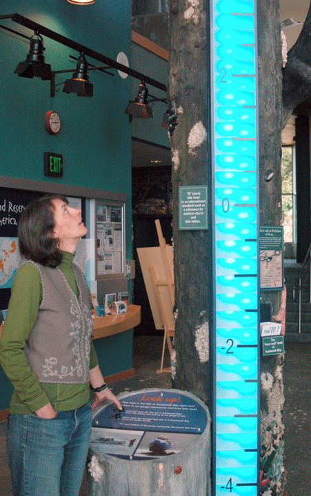 Catie Bursch of the Kachemak Bay Research Reserve demonstrates the tidal column exhibit at Islands and Ocean Visitor Center. -Photo by Michael Armstrong, Homer News