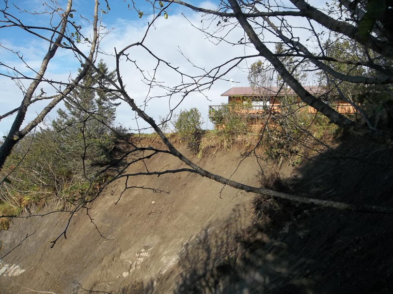 Recent storms caused erosion near Anchor Point resident Kathy Kacher’s home. -Photo by Kathy Kacher