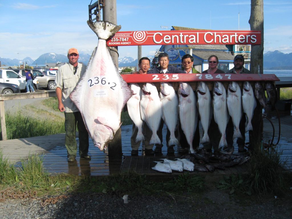 Iowa angler wins halibut derby jackpot Homer News
