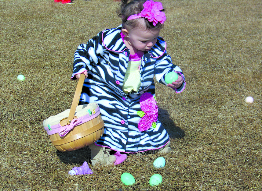 Aisha Tapia gathers eggs at the Emblem Club Easter Egg Hunt in Homer in 2013.-Homer News file photo