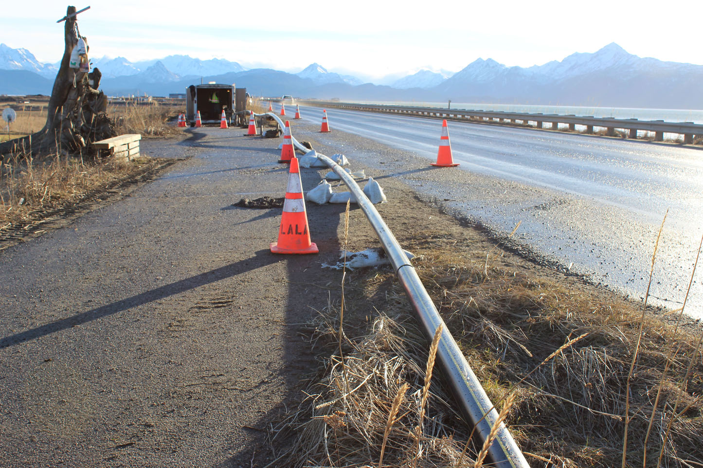 Working weather Homer News