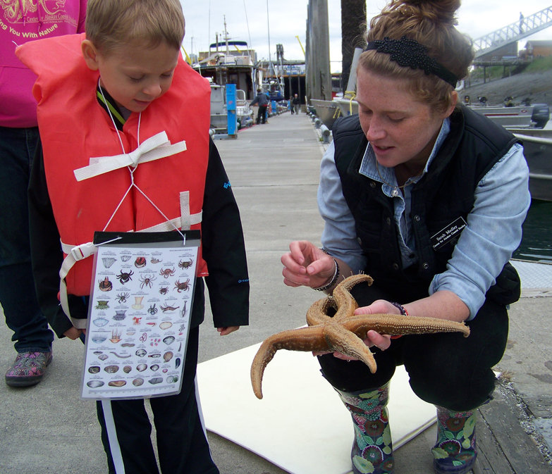 Brayden Gross, 4, examines the underside of a sea star with Sarah Bedley, guide on Center for Alaskan Coastal Studies’ Creatures of the Dock tour.-Photos by McKibben Jackinsky, Homer News