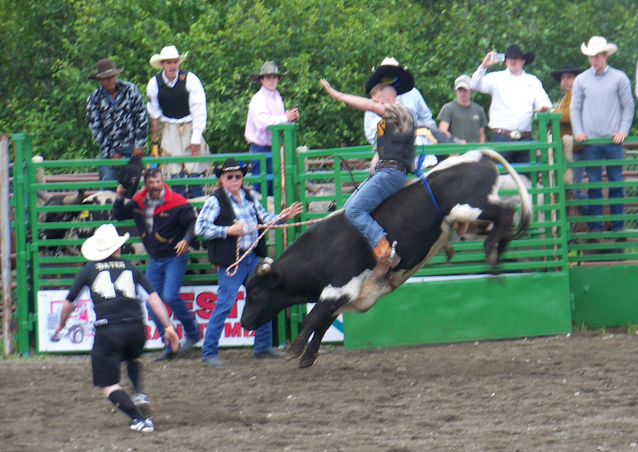 Ninilchik rodeo family camaraderie is evident in each event, whether it’s a young cowboy experiencing the thrill of calf riding, a bull rider trying to hang on for eight seconds, or the two-member teams in the roping competitions.-Photo by McKibben Jackinsky, Homer News