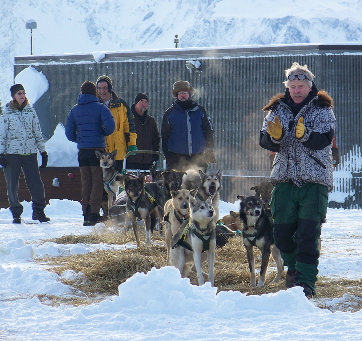 Musher Jeff King’s dog team comes alert as he lets them know they are minutes away from leaving the McNeil Canyon checkpoint during the 2012 Tustumena 200.-Photo by McKibben Jackinsky, Homer News