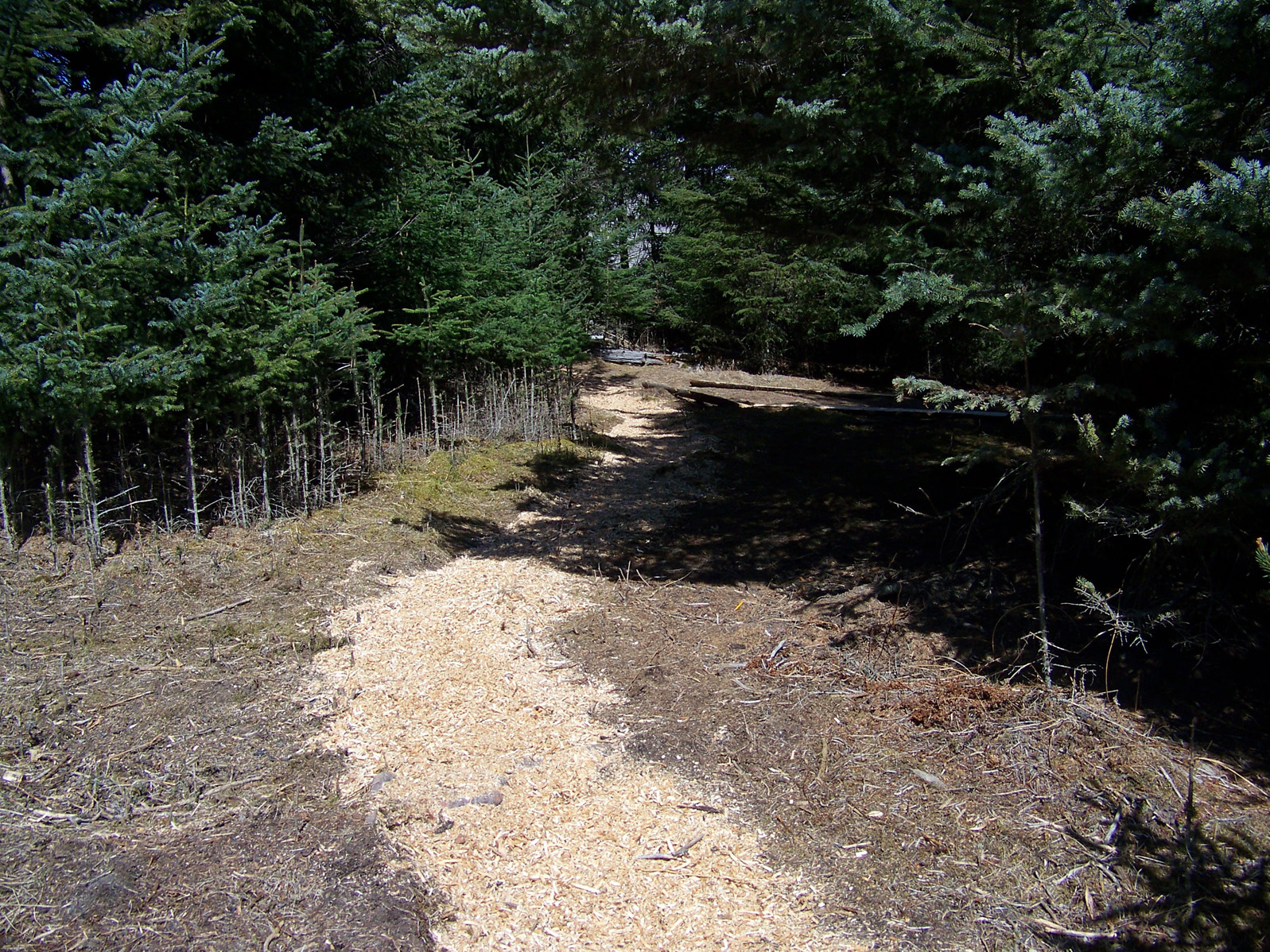 Photos by McKibben Jackinsky, Homer News