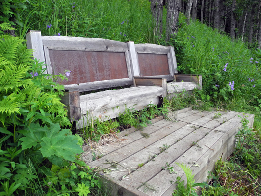 Benches offer a spot to sit and have a picnic — or look at wildflowers, like roses (previous photo).-Photo by Michael Armstrong, Homer News