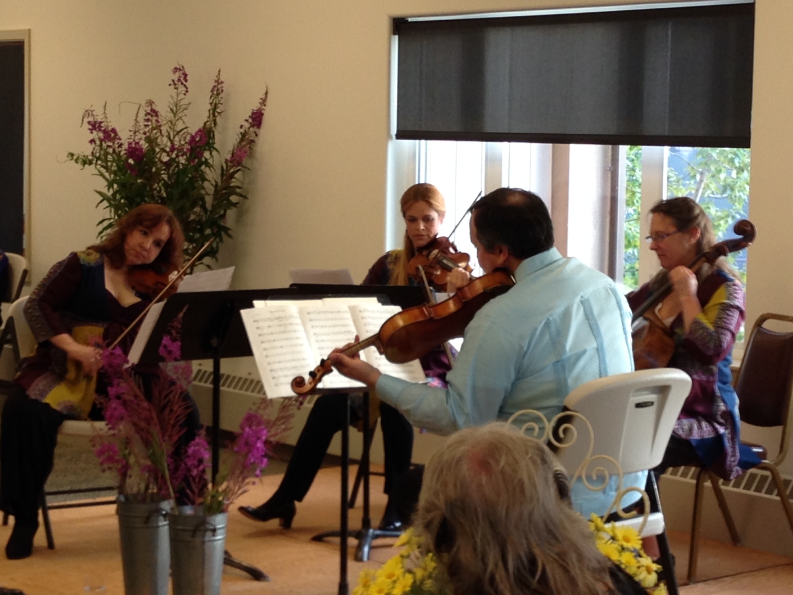 The Madison String Quarter, the festival’s quartet in residence, performs last year in Seldovia.-Photo provided