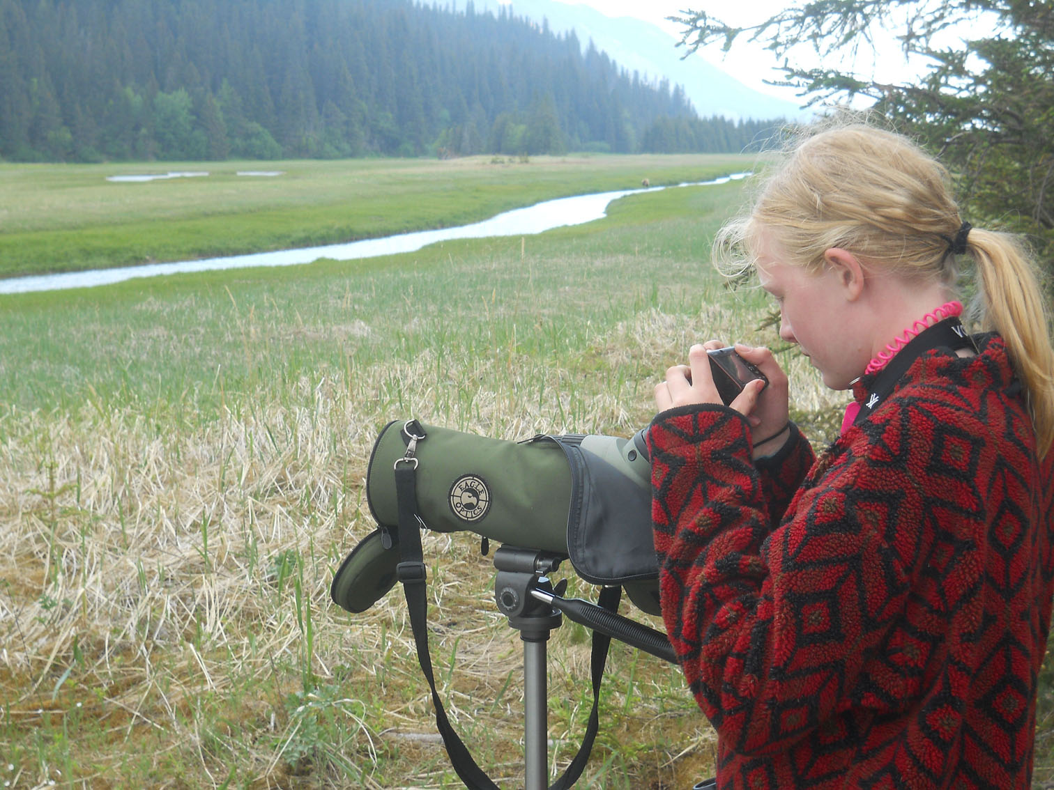 Samantha Martin uses digital cameras and digi-scoping equipment provided by Alaska Maritime National Wildlife Refuge to document bear viewing in Chinitna Bay. -Photo provided