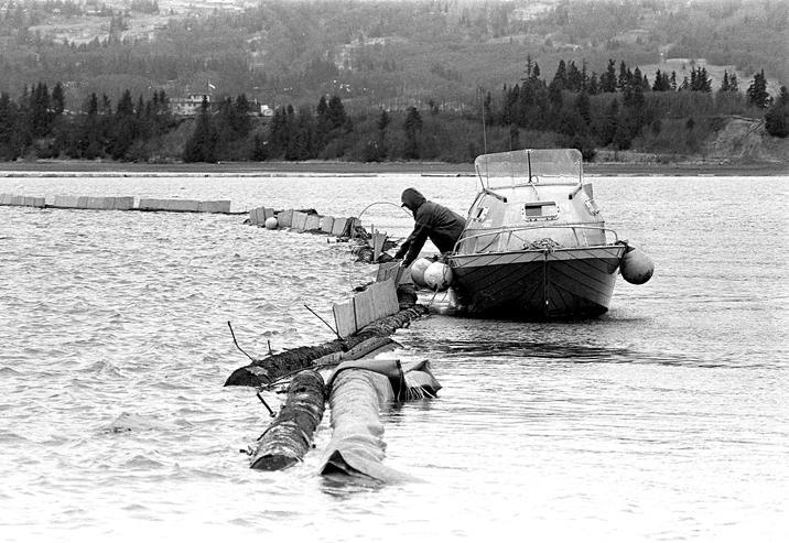 Dan Nelson inspects log booms anchored in Mud Bay in April 1989. Because of a lack of oil booms, Homer citizens improvised their own booms out of logs, plywood and plastic sheeting.