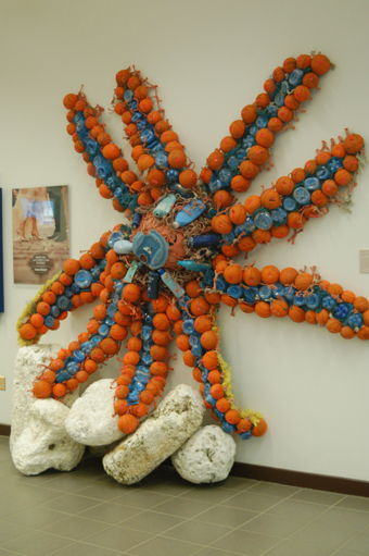 A sea star sculpture from the Center for Alaskan Coastal Studies Washed Ashore program is made from collected marine debris and hangs at Alaska USA Federal Credit Union.-Photo above by Michael Armstrong, Homer News