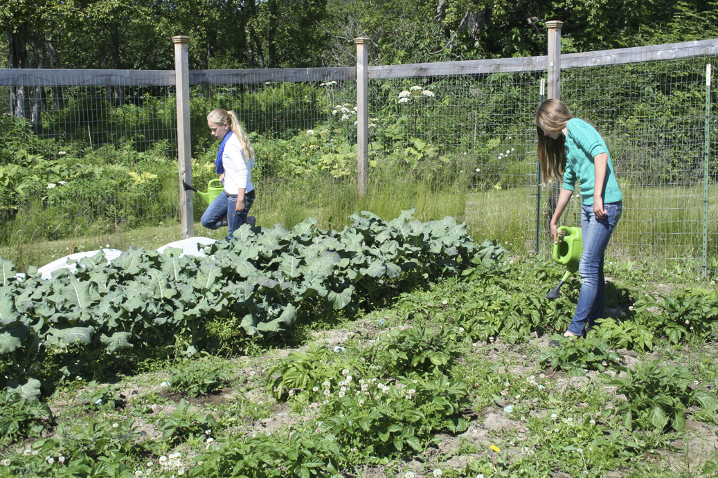 Jessica Sonnen, left, and Andie Sonnen, right, work in the Methodist Church garden.-Photo by Toni Ross