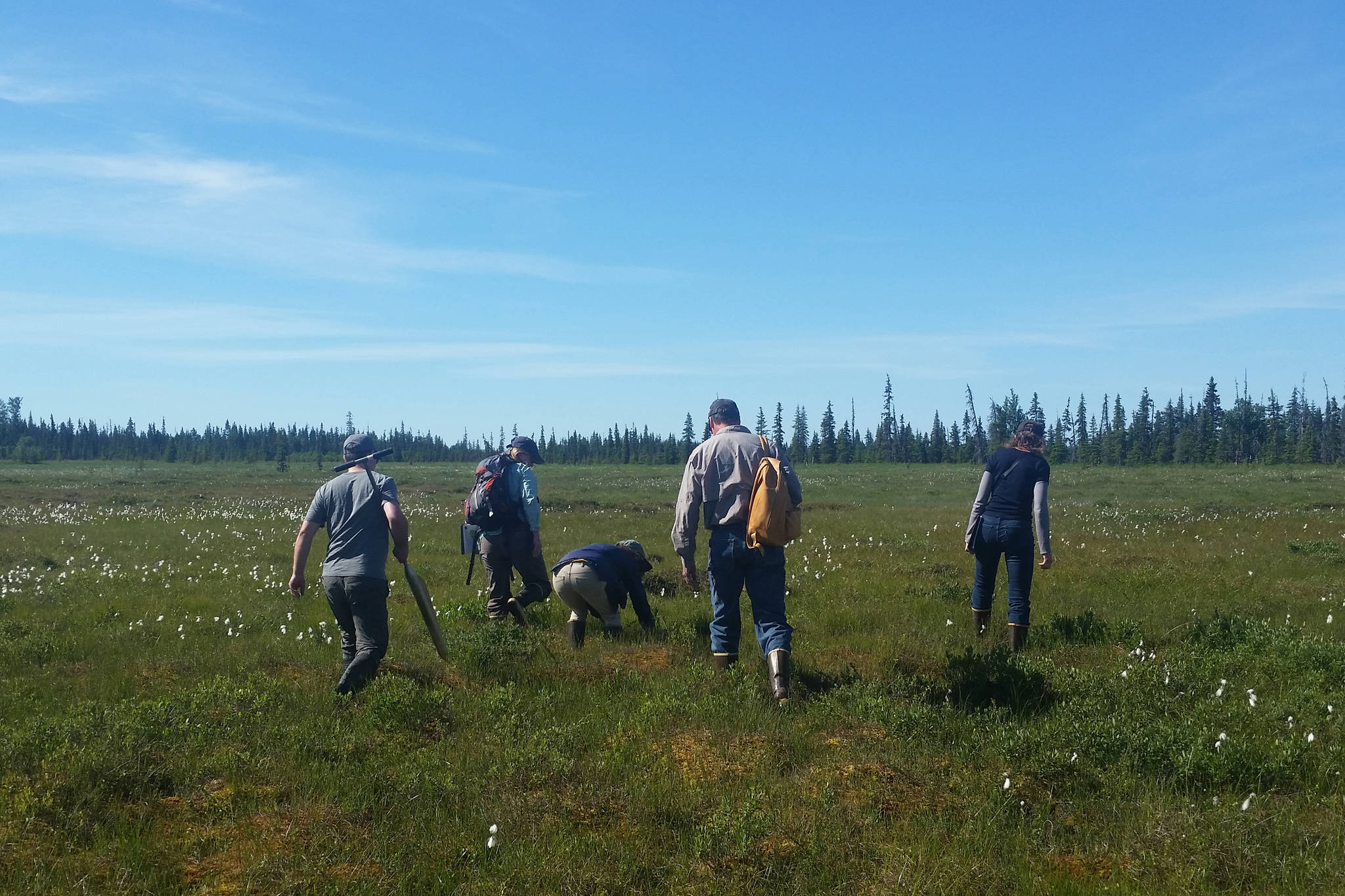 Workshop participants make their way into some peatlands near Anchor Point, Alaska for a field demonstration on July 18, 2018. (Photo by Mira Klein)