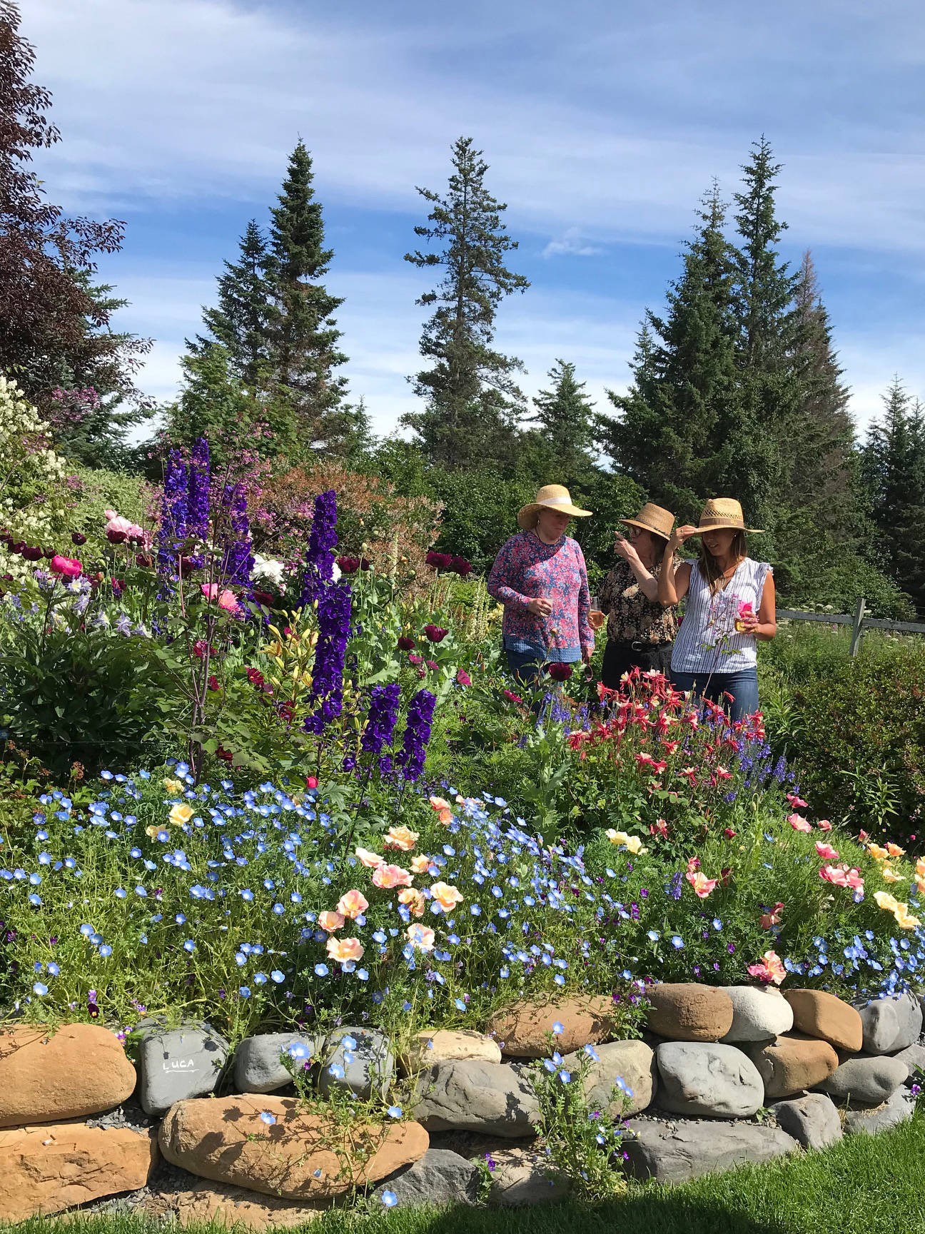 Judy Flora, Marcee Gray and Andrea Fitzpatrick Vallee enjoying a sunny Sunday afternoon on July 29, 2018. Note the Black Knight delphinium making a decent showing in its second year. (Photo by Rosemary Fitzpatrick)