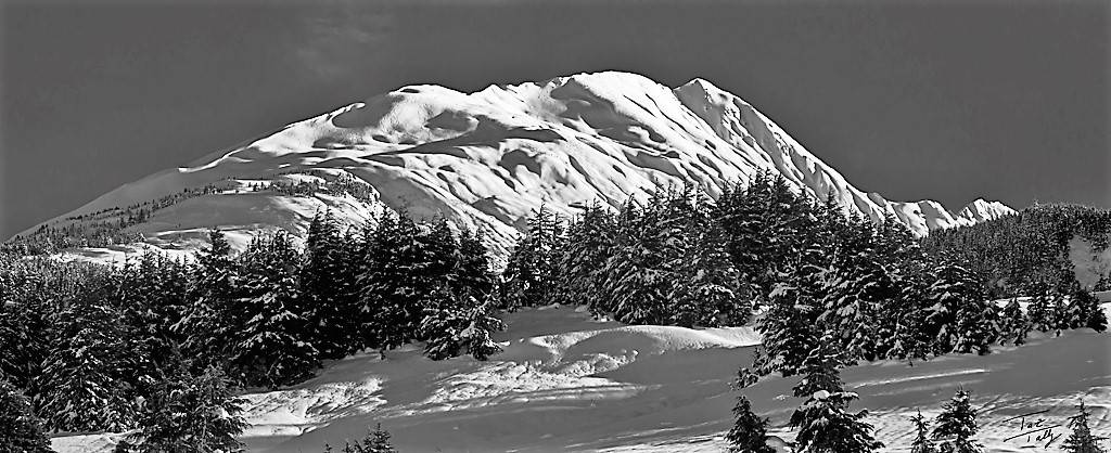 Taz Tally’s black-and-white Alaska landscape is in show at the Art Shop Gallery. (Photo provided)