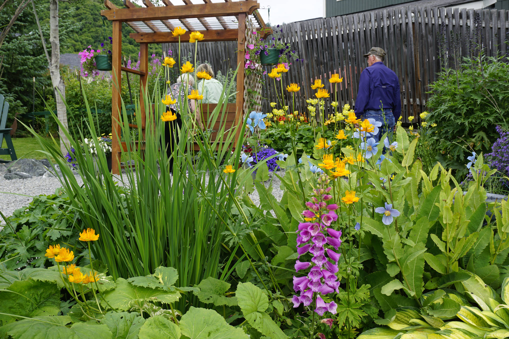 Francie Roberts’ “Everything Garden” on Mountainview Drive in Homer, Alaska includes flower beds, fountains, a vegetable garden and a greenhouse. It was one of five gardens featured in the July 29, 2018 Homer Garden Tour. (Photo by Michael Armstrong/Homer News)