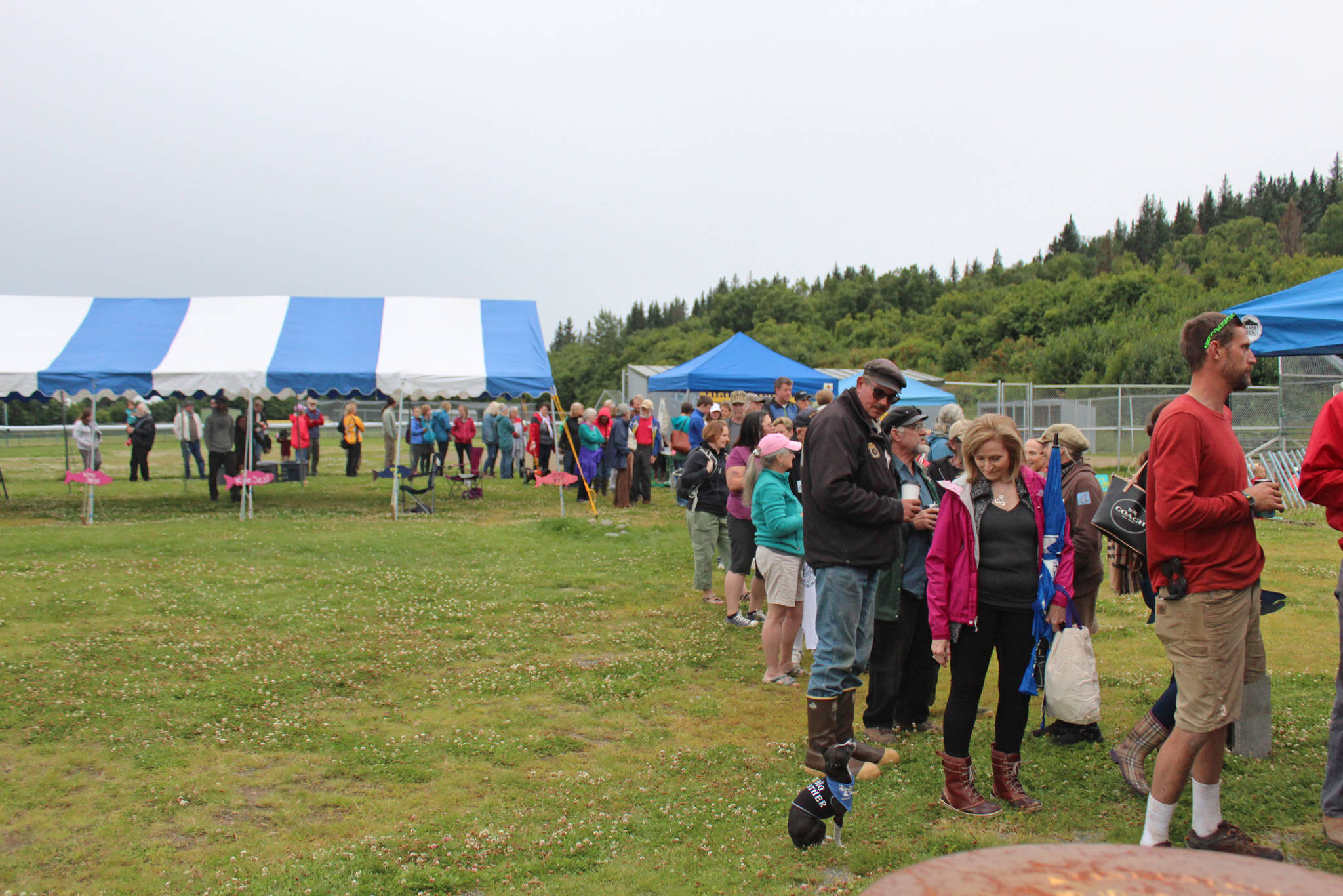 Area residents wait in a line that snakes around Karen Hornaday Park for some grilled salmon during a barbecue for Wild Alaska Salmon Day, held Friday, Aug. 10, 2018 at the park in Homer, Alaska. (Photo by Megan Pacer/Homer News)